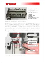 Предварительный просмотр 3 страницы Triumf 24952 Manual