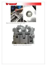 Preview for 20 page of Triumf 24952 Manual