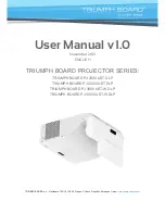 TRIUMPH BOARD 2000 User Manual preview