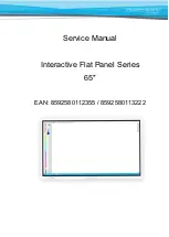 TRIUMPH BOARD 8592580112355 Service Manual preview