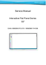 TRIUMPH BOARD 8592580113215 Service Manual preview