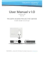 TRIUMPH BOARD PJ1000 ST DLP User Manual preview
