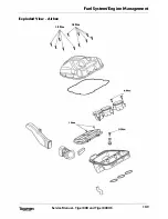 Предварительный просмотр 187 страницы Triumph 2010 Tiger 800 Service Manual