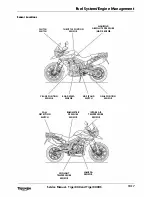 Предварительный просмотр 195 страницы Triumph 2010 Tiger 800 Service Manual