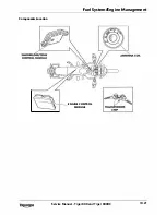 Предварительный просмотр 199 страницы Triumph 2010 Tiger 800 Service Manual