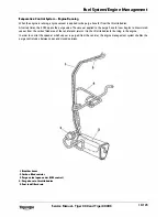 Предварительный просмотр 301 страницы Triumph 2010 Tiger 800 Service Manual