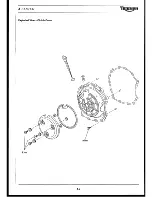 Preview for 49 page of Triumph Daytona 955i 2002 Service Manual