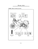 Preview for 10 page of Triumph T509 Speed Triple Owner'S Handbook Manual