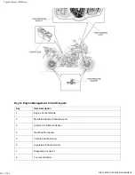 Предварительный просмотр 245 страницы Triumph Tiger Explorer XR 2016 Service Manual