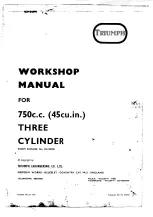 Предварительный просмотр 1 страницы Triumph Trident T150R Workshop Manual