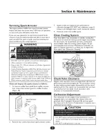 Preview for 19 page of Troy-Bilt 030247-1 Operator'S Manual