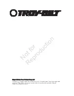 Preview for 4 page of Troy-Bilt 030475-0 Wiring Diagram