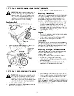 Предварительный просмотр 10 страницы Troy-Bilt 295 Operator'S Manual