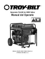 Preview for 27 page of Troy-Bilt 8000 Watt Operator'S Manual