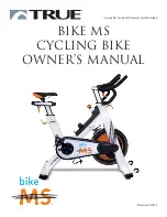 True bike MC Owner'S Manual preview