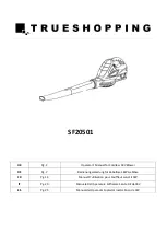 Trueshopping SF20501 Operator'S Manual preview