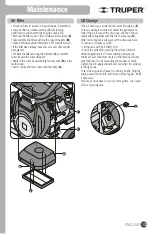 Preview for 31 page of Truper 14359 Manual