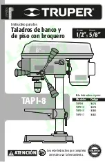 Truper TAPI-13 Manual preview