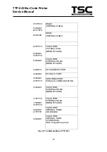 Предварительный просмотр 25 страницы TSC TDP-243 Series Service Manual