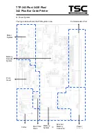 Предварительный просмотр 16 страницы TSC TTP 243 Plus Service Manual