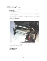 Предварительный просмотр 14 страницы TSC TTP-243 Series User Manual