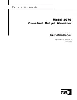 TSI Instruments 3076 Instruction Manual preview