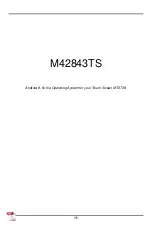 TSMC M42843TS Manual preview