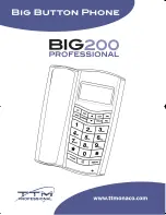 Предварительный просмотр 1 страницы TTM BIG200 PROFESSIONAL User Manual