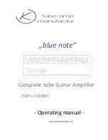 Предварительный просмотр 1 страницы Tube Amp Manufactur BLUE NOTE Operating Manual