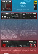 Turn2On WAUBABY MULTI-WAH FX Manual preview