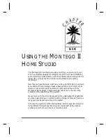 Preview for 37 page of Turtle Beach Montego II User Manual