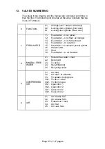 Предварительный просмотр 102 страницы Tuttnauer 2301006 Operation & Maintenance Manual