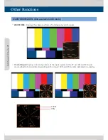 Предварительный просмотр 26 страницы TVLogic LVM-172W Operation Manual