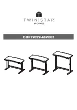 Twin Star Home ODP19029-48VB03 Important Instructions Manual предпросмотр