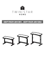 Twin Star Home ODP19029-48VO01 Manual предпросмотр