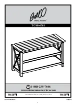 Twin-Star International Bell'O TC48-6361 Manual preview