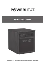 Twin-Star International Powerheat 9QH8101-C299W Manual предпросмотр