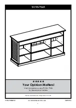 Twin-Star International TC55-7945 Manual preview