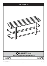 Preview for 1 page of Twin-Star International TC60-90166 Manual