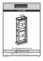 Twin-Star International Tresanti CC32-6989 Manual preview