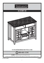 Twin-Star International Tresanti KI10289-48 Assembly Instructions Manual preview