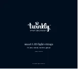 Twinkly C9 Instruction Manual preview