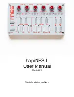 twisted electrons hapiNES L User Manual preview