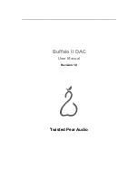 Twisted Pear Audio Buffalo II User Manual preview