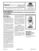 Tyco Fire Product CENTRAL ESFR-25 Instruction Manual preview