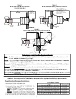 Предварительный просмотр 2 страницы Tyco Fire Product CENTRAL GB Instruction Manual