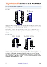 Preview for 12 page of Tynemouth MINI PET 40/80 Technical Manual