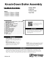 Preview for 1 page of U.S. Boiler Company SteamMax STMX100 Quick Start Manual