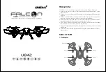 Preview for 1 page of udir/c FALCON U842 Quick Start Manual