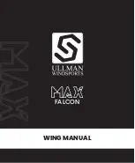 Preview for 1 page of UllMann MAX FALCON Manual